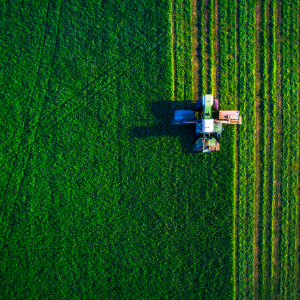 Plow running through lush agricultural fields